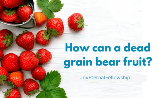 How can a dead grain bear fruit (thumb)